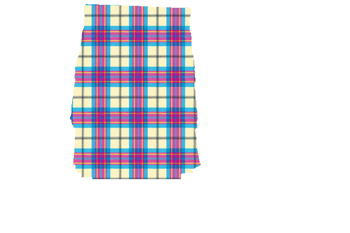 Allendale Dress Tartan Kilt Apron