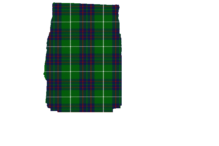 MacIntyre Hunting Tartan Kilt Apron