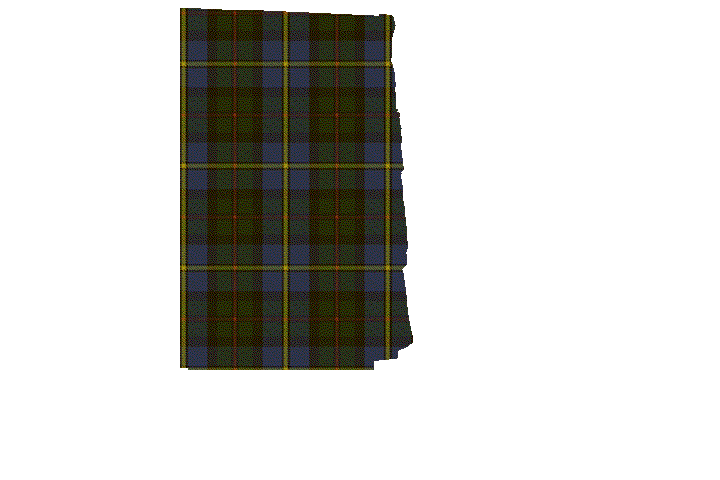 McLeod of Harris Tartan Kilt Apron