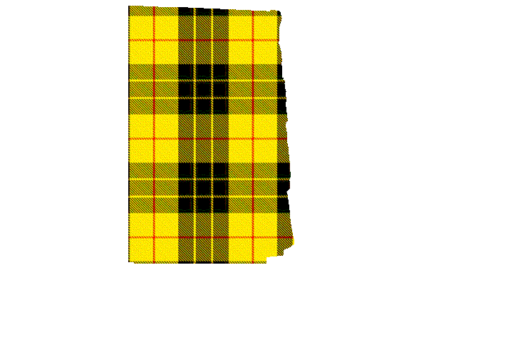 Clan McLeod of Lewis Tartan Kilt Apron