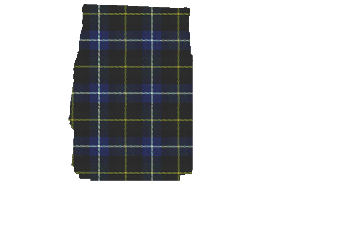 MacNeil of Barra Modern Tartan Kilt Apron