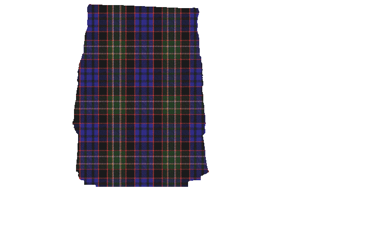 Nichols • Nicholson Hunting Tartan Kilt Apron