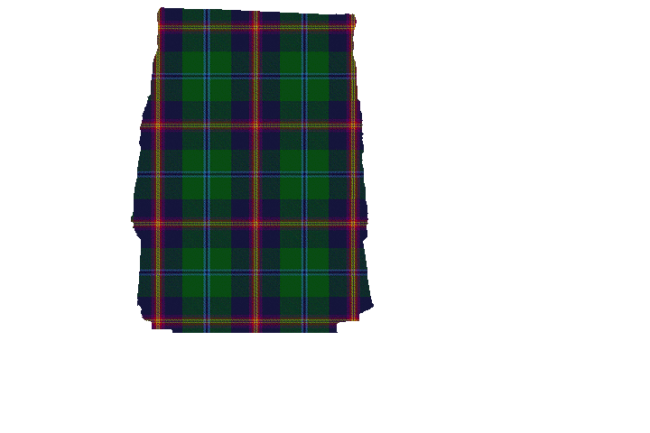 Clan Young Tartan Kilt Apron