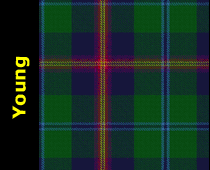 Clan Young Tartan Wool Uniform Kilt Apron